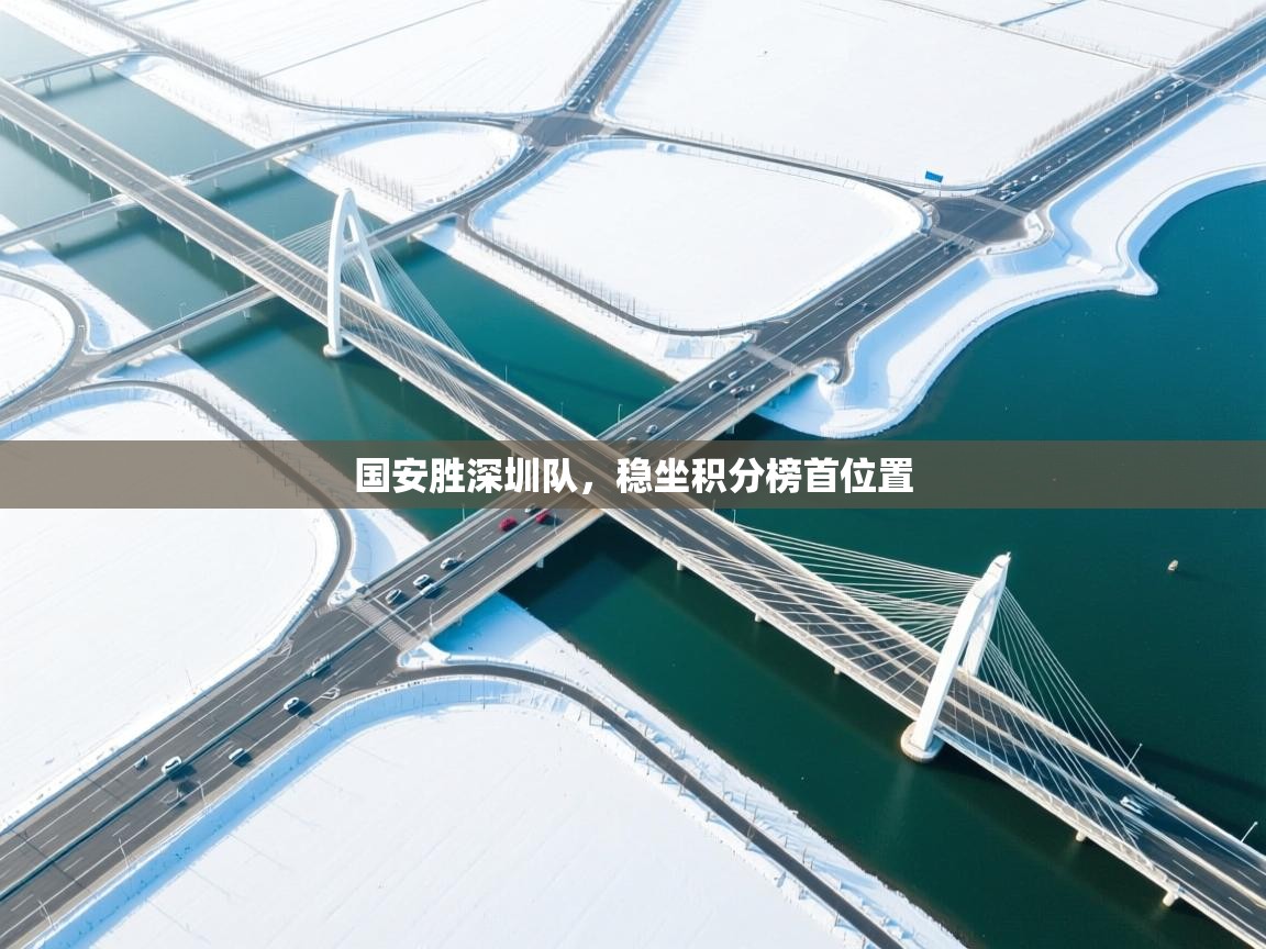 国安胜深圳队，稳坐积分榜首位置  第2张